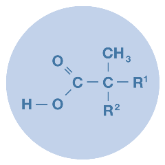 Structure_VersaticAcid