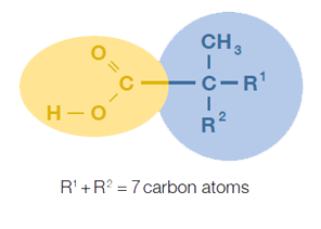 Versatic acid 10 structure