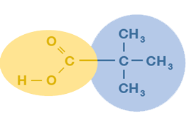 versatic acid 5 structure