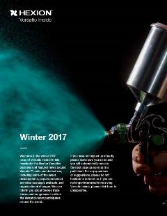 VI 2017 winter cover